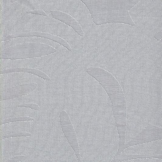 Daintree - Cloud