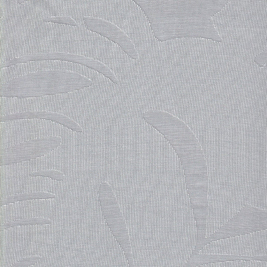 Daintree - Cloud